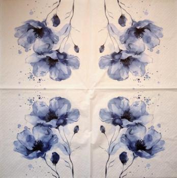 056 Daffodils - 3-ply (weiß/blau) - Ihr